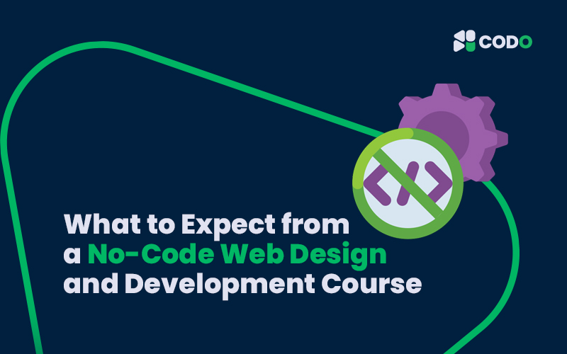 What to Expect from a No-Code Web Design and Development Course